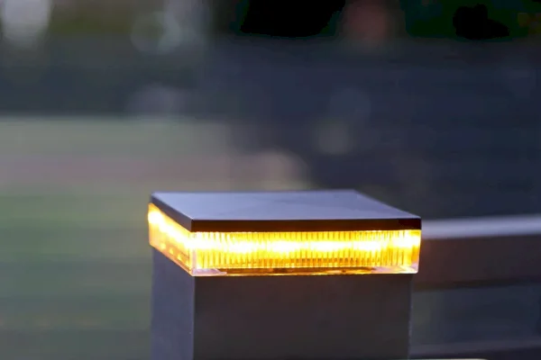 Lampy i koguty